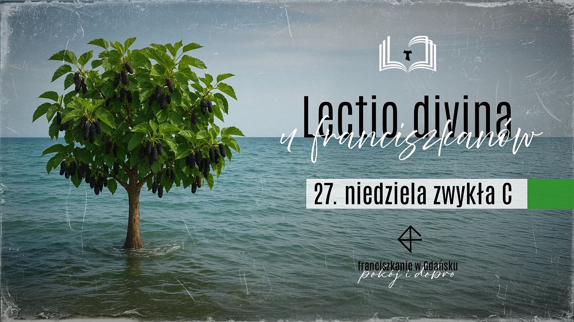 Lectio divina 2025 - 27. niedziela C grafika