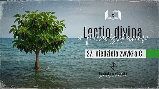 Lectio divina 2025 - 27. niedziela C